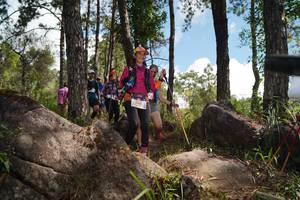 BIB: 
                            <button type="button" onclick="openModal(18945666)" class="btn btn-primary btn-sm float-right btn-popup" data-toggle="modal" data-target=".modal-high-quality">
                        <i class="fas fa-shopping-cart"></i> Add to Cart
                    </button>
                                            <button type="button" onclick="isThisMe(18945666, true)" class="btn btn-success btn-sm float-right btn-popup btn-isme hidden" data-toggle="tooltip" data-placement="bottom" title="นี่คือรูปของคุณใช่ไหม คลิกที่นี่เพื่อเอาเข้าอัลบั้ม">
                        <i class="fas fa-plus"></i> Add to album
                    </button>
                    <button type="button" onclick="isThisMe(18945666, false)" class="btn btn-warning btn-sm float-right btn-popup btn-isnotme hidden">
                        <i class="fas fa-ban"></i> Remove from album
                    </button>